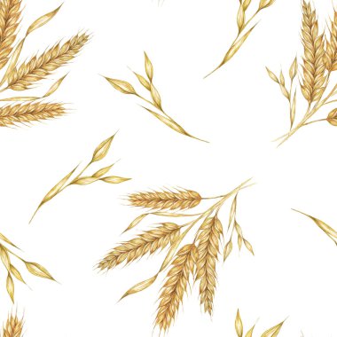 Altın buğday ya da arpa dikenleri. Suluboya deseni tekstil tasarımı için mükemmel, kırsal temalı ambalaj, çevre dostu markalaşma, ve doğa esinlenilmiş duvar kağıtları ve kırtasiye malzemeleri