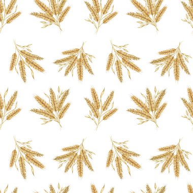 Altın buğday ya da arpa dikenleri. Suluboya deseni tekstil tasarımı için mükemmel, kırsal temalı ambalaj, çevre dostu markalaşma, ve doğa esinlenilmiş duvar kağıtları ve kırtasiye malzemeleri