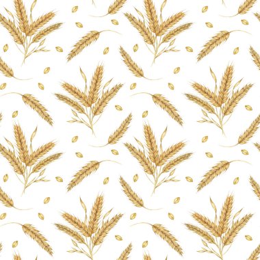 Şükran Günü, fırın ve Shavuot için arpa ya da altın mısır gevreği. Kumaş tasarımları için kusursuz suluboya, doğa temalı ambalaj, ekolojik bilinçli markalaşma ve kırsal ev dekorasyonu projeleri