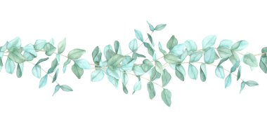 Yeşil yapraklı okaliptüs dalları basit bir yatay sınır oluşturuyor. Kusursuz sınır, suluboya klipsleme. Düğün davetiyeleri, sosyal medya grafikleri veya kumaş süslemeleri için elverişli
