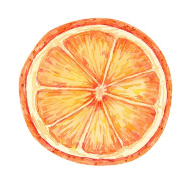 Canlı turuncu tonlarda bir portakal dilimi, suluboya çizimi, yaz temalı tasarımlar, yemek blogları ve mutfak dekorasyonu için mükemmel. Tarif kitapları ve içecek ambalajı için ayrıntılı narenciye tırpanı