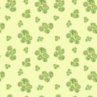 Sarı arka planda klorella yosun hücreleri. Suluboya yosunların dikişsiz desenleri vardır. Sağlık ve beslenme ürünleri tasarımları, çevre dostu markalaşma, eğitim materyalleri için mükemmel