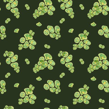 Klorella alg hücreleri koyu yeşil arka planda suluboya renginde. Deniz yosunu desensiz klipsli. Ürün ambalajlama, sağlık markalaşması veya sağlık ve beslenme alanlarındaki yosunlar hakkında tasarımlar için harika