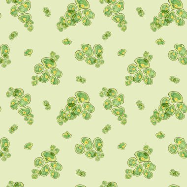 Chlorella algae cells clusters in watercolor on yellow green background. Seaweed seamless pattern clipart. Great for product packaging, wellness branding, or educational materials clipart