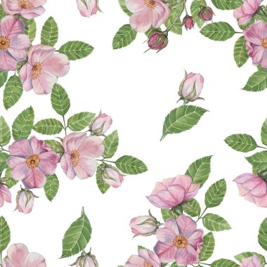 Pink Rosa Canina flowers in bloom, floral elements, along with green leaves. Seamless pattern. Hand painted watercolor clipart. Ideal for surface design, home decor, apparel prints, or DIY crafts clipart