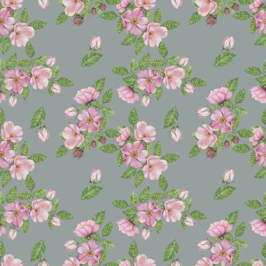 Rosa Canina çiçekleri ve gül goncaları soluk yeşilimsi yeşil arka planda canlı yeşil yapraklarla. Elle boyanmış suluboya, pürüzsüz bir parça. Döşeme, defter ya da tekstil için ideal