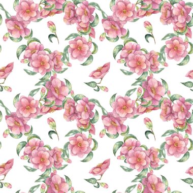 Pembe kamelya çiçeklerinin, tomurcukların ve yeşil yaprakların dikişsiz deseni suluboya ile gösterilmiştir. Bu parça tekstil tasarımı, tebrik kartları veya ambalaj kağıdı için mükemmeldir.