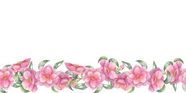 Bu suluboya klipte, yatay, pürüzsüz bir sınırda dizilmiş pembe kamelya çiçekleri yer almaktadır. Olay davetleri, blog başlıkları ve çeşitli yazdırma materyalleri için harika