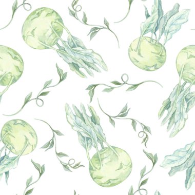 Hassas, pürüzsüz desenli zarif yaprakları olan soluk yeşil kohlrabi. Sebze suluboya çizimi. Yemek kitabı kapakları, bahçe dergileri, yemek baskıları ve organik ambalaj için ideal