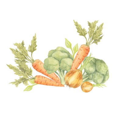 Turuncu, sarı ve yeşil suluboya resimli havuç, soğan ve brokoli sebze kümesi olarak sıralanmıştır. Gıda etiketi tasarımları, organik ürün markalaşması veya menü sanatı için harika.
