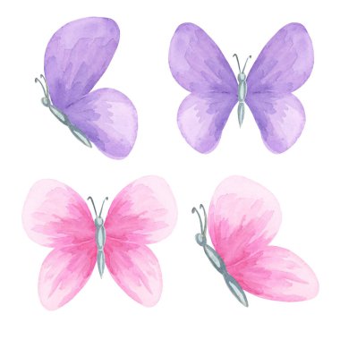 Suluboya bir kolleksiyonda pembe, lavanta ve mor kelebekler. Elle çizilmiş illüstrasyon tebrik kartı elementleri, bebek partisi süslemeleri, planlama çıkartmaları, el işi süslemeleri için mükemmeldir.