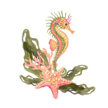 Canlı pembe deniz atı, yeşil yosun ve suluboya denizyıldızlı mercan. Deniz hayatı zirvesi, çocuk kitapları, tekstil baskıları veya deniz altı temalı dijital ürünler için uygundur.