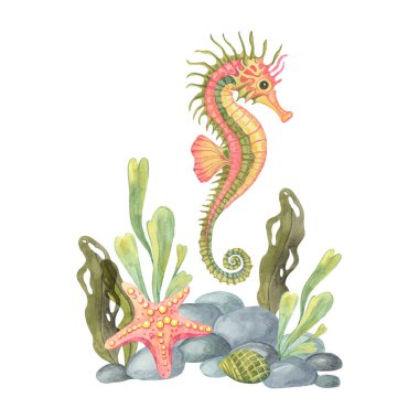 Deniz yıldızı, yeşil yabani otlar, koyu kayalar ve bu deniz sahnesinde mercan renkli bir deniz atı okyanus temalı ambalaj, kumaş baskıları veya su kaynaklarına uygun hale getirir.