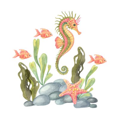 Balıklar, çakıl taşları ve deniz yıldızlarıyla çevrili yeşil yüzgeçli turuncu deniz atı suluboya ile gösteriliyor. Suda yaşam kümesi, sınıf dekorasyonu, kreş tasarımları ya da çocuk deniz koleksiyonu setleri için harika.