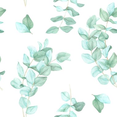Suluboya ile boyanmış yumuşak yeşil yapraklı okaliptüs dalları. Bu pürüzsüz kalıp, tekstil tasarımı, botanik temalı ambalaj ve çevre dostu ürün markalaşması için idealdir.
