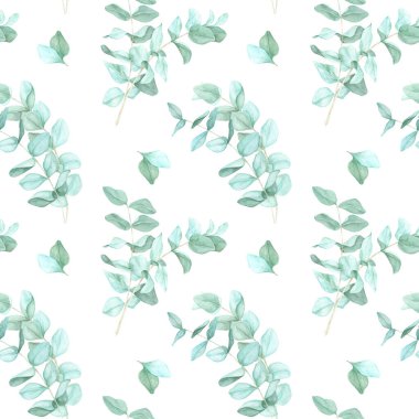 Karışık yeşil yapraklı okaliptüs dalları düzgün suluboya desenli. Clipart Özel kumaş baskılar, dekoratif defterler ve doğadan esinlenilmiş dijital sanat için mükemmel