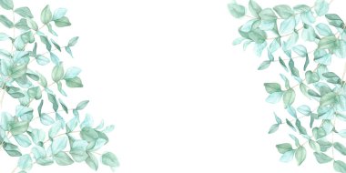 Okaliptüs dalları yeşil tonlarda hassas bir suluboya klitoris çerçevesi oluşturur. Bu botanik afişi davetiyeler, markalaşma, paketleme, tebrik kartları ve doğadan esinlenilmiş dijital tasarımlar için idealdir.