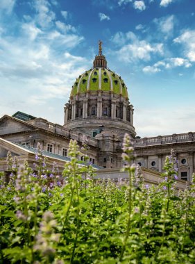Hükümet binası, başkent kubbesi ve çevresindeki bazı peyzajlar. Kubbeye bakmak onun büyüklüğünü ve mimarisini arttırıyor..