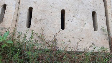 Çalılar ve zemin örtüleri, ve beton U-hendeği kaplama dokusu