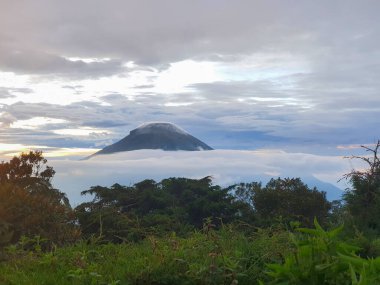 Bukit Sikunir, Dieng, Central Java 'da Görkemli Dağ Tepesi Bulutları Yükseliyor. Berrak Yeşillik, Huzurlu Atmosfer ve Nefes Kesen Panorama ile Serene Manzarası