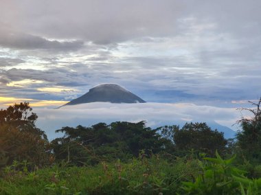 Görkemli Dağ Zirvesi Şafakta Yükselen Bulutlar: Berrak Yeşillik, Huzurlu Atmosfer ve Nefes Kesen Panorama, Doğanın Güzelliğini Gösteren ve İlham Veren Harikalar.
