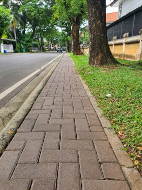 Serene Streetside Pavement: Brick Walkway 'in Yeşilliğe bitişik Huzur Tasarımı ve Sessiz Yol Gözlemleme, Kentsel Peyzaj Estetiğini Geliştirme.