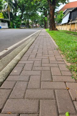 Kentsel Manzaraları Keşfeden: Brick Pavement ve Bereketli Yeşillik, Huzurlu Şehir Kenti Sahnesi ve Huzurlu Mahalle Ambiyansı ile Ağaçlarla çevrili Bir Sokak Arasında Bir Yürüyüş