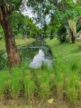 Serene Kanalı: Berrak Yeşillik, Huzurlu Su Yansıtan Gökyüzü, Huzurlu Doğa Sahnesi, Sakin Atmosfer, Canlı Yapraklar, Idyllic Kanalyan, Resimli Manzara, Doğal Güzellik, Yeşil Çimen, Ağaç Astarlı Kıyılar