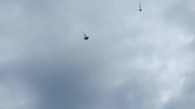 Mavi gökyüzünde uçan uçurtma.