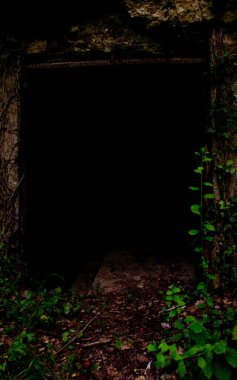 Black door in the forest