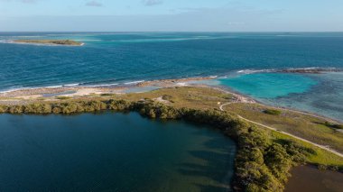 Karayip Körfezi. Güzel beyaz kumları, kristal berrak suları ve mercanları var.