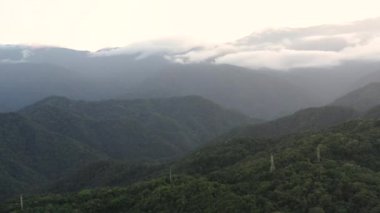 Tropikal bir ormanın insansız hava aracı görüntüsü