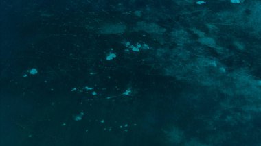 Cancun, Meksika, Riviera Maya 'nın kristal berrak sularının hava manzarası.