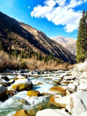 Güzel bir dağ deresi, açık mavi gökyüzünün altında yeşil bir vadi boyunca akar. Arka planda tüylü bulutlar vardır.