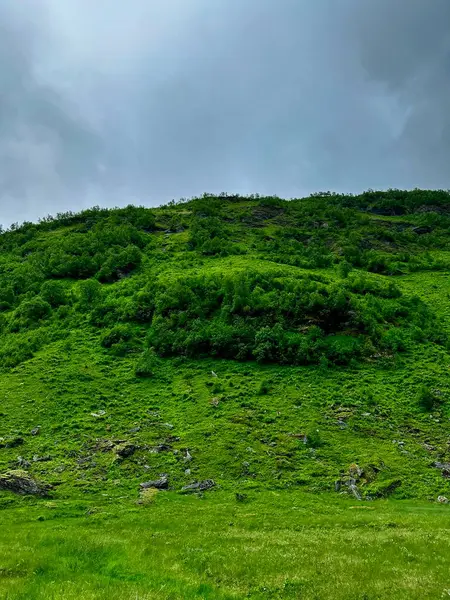 stock image Mountainside meadow landscape with fresh green grass is beautiful outdoors under gray sky and beautiful floating clouds.