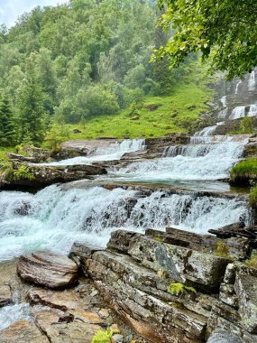 Ormanın kalbinde, güzel bir şelale kayalar ve ağaçlar tarafından kucaklanır ve büyüleyici bir doğal manzara yaratır.