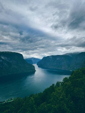 Yazın Norveç 'te Sognefjord. Güneşli bir gün, dağlarla, fiyortlarla, ormanlarla dolu bir manzara. Yüksek kalite fotoğraf