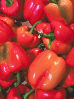  Avrupa tarım pazarında taze kırmızı biberli kırmızı biber. Doğal ve sağlıklı yemek teması. Yüksek kalite fotoğraf