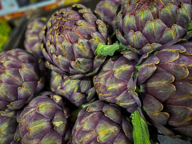Tomurcuklanan enginar başlığı birçok tomurcuklanan çiçekten oluşan bir kümedir. Yüksek kalite fotoğraf