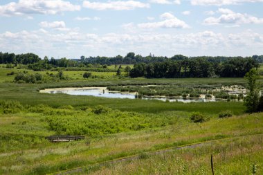 Sulak Topraklar Su Sazları Yosun Gölü Gölü Göleti 