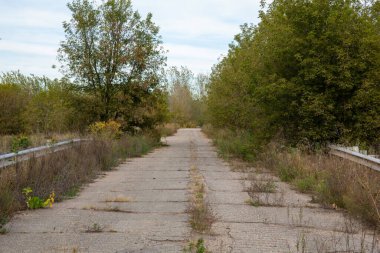 Yeşil ağaçlarla çevrili terk edilmiş bir yol..