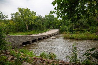 Ormanın içinde bir köprü