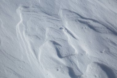 Taze Beyaz Kış Rüzgarı Şiddetli Kar Arkaplan Resmini Işıklar ve Gölgelerle Sürüklüyor