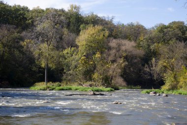 Açık bir günde yeşil bir ormanın ortasına akan bir nehir.