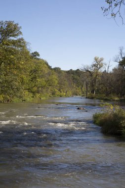 Ağaçlarla çevrili güzel bir nehir görüntüsü.