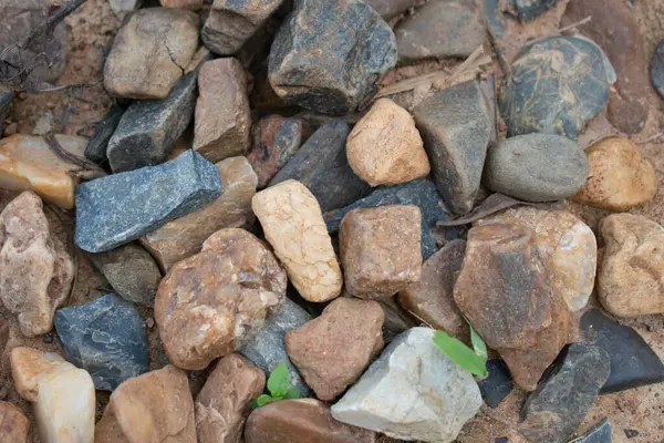 Çeşitli Karışık Taşlar Koleksiyonu. Yere saçılmış çeşitli küçük kayaların yakın plan fotoğrafı. Kayalar açık bej ve kahverengiden daha koyu gri ve mavi tonlarına kadar renk, şekil ve dokuda farklılık gösterirler. Arka plan kumlu..