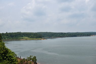 Bu görüntü, yemyeşil ormanlarla çevrili geniş bir nehrin Tranquil manzarasını yakalar. Su sakin görünüyor, ince gökyüzünü yansıtırken, kıyı şeridindeki ağaçlar barışçıl atmosfere katılıyor..