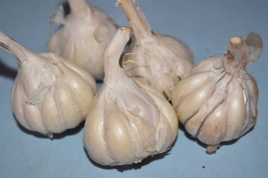 Açık mavi bir yüzey üzerinde duran birkaç sarımsaklı ampulün yakın plan görüntüsü. Ampuller taze, bembeyaz ve doğal dokuları var..