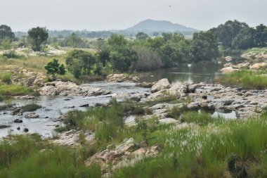 Bereketli yeşillikler ve uzak tepelerle çevrili kayalık bir arazide salınan pitoresk bir nehir doğanın dingin güzelliğini yakalıyor..