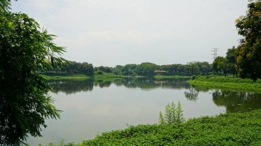 Sabah göl yüzeyinde parkta